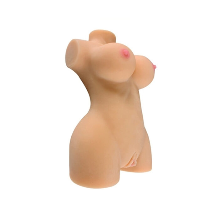 Torso vagina Busty lady