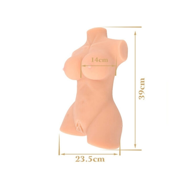 Busty lady torso vagina 5 Dimenzije vagine Busty lady