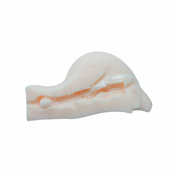 Lolita-eroti-shop-Joshua-red-plum-vagina-3 Vagina Joshua Red plum