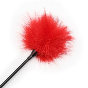 Bic s perjem Heart handle tickler rdec_3