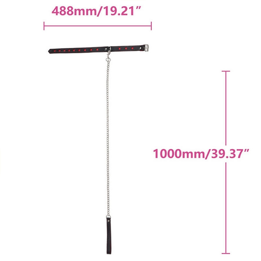 Ovratnica s srčki in povodcem 4 Ovratnica s povodcem Heart