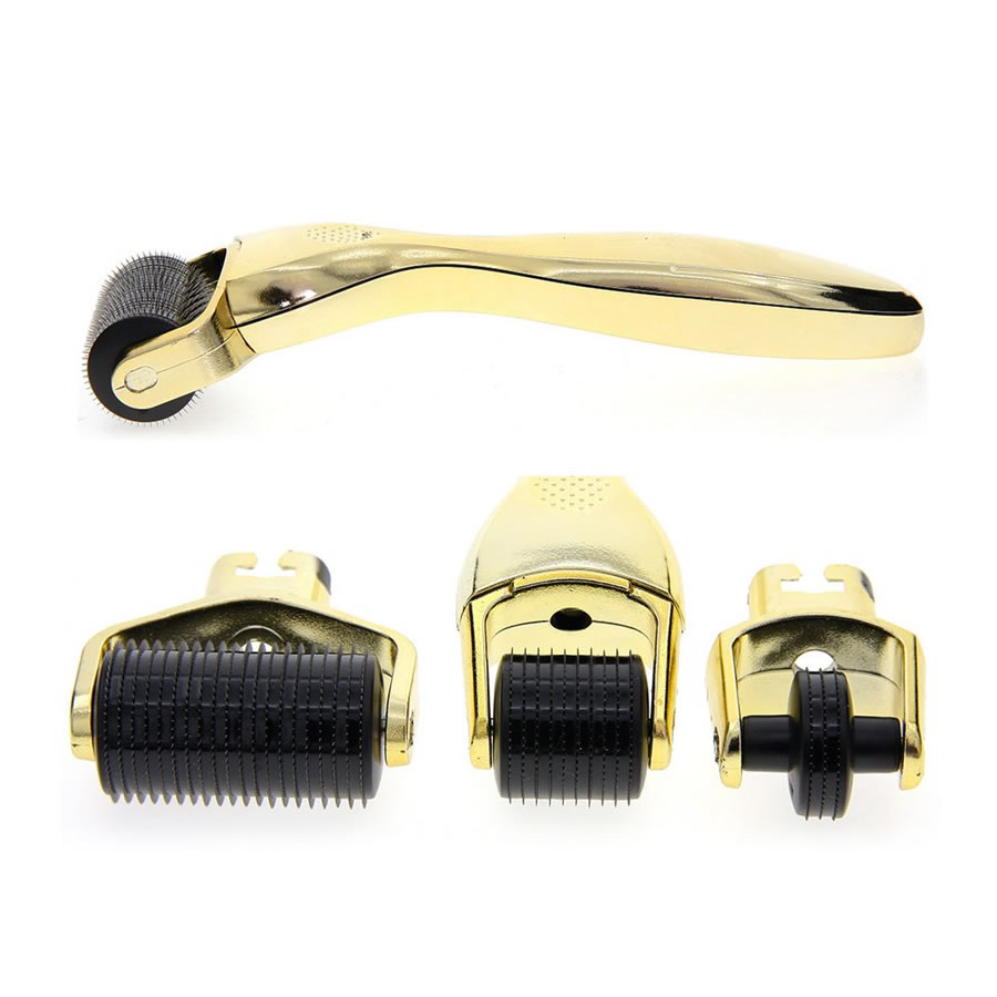 Set Wartenbergovih kolesc Microneedle Derma Roller 4 Set Wartenbergvih kolesc 3v1 Microneedle Roller