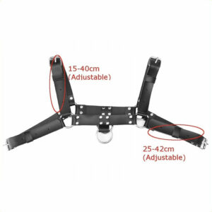 Moški harness z dvema obročkoma