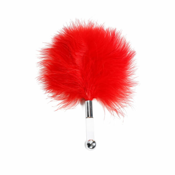 Dream-toys-Amour-The-Secrets-of-love-Panty-play-kit-4 Perje za ščegetanje