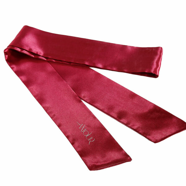 Dream-toys-Amour-The-Secrets-of-love-Panty-play-kit-5 Satenast trak za zavezovanje