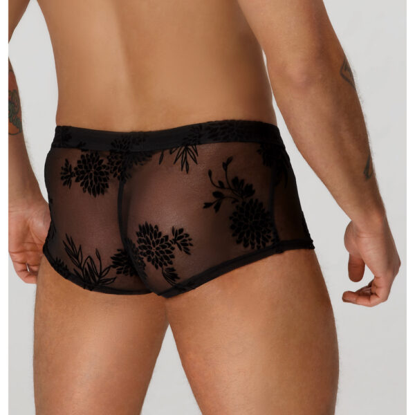 Noir Moške bokserke Flock embroidery