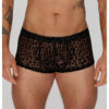 Noir Moške bokserke Leopard Flock