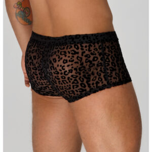 Noir Moške bokserke Leopard Flock