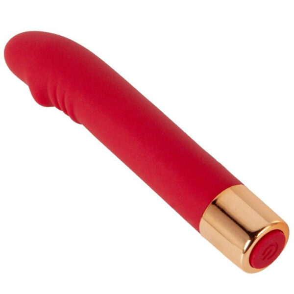 Mini vibrator Dick Charming vibe Aphrodisia