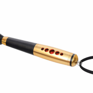 Bič z zlatim ročajem