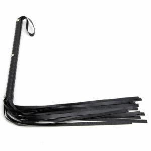 Bič z dolgim ročajem črn