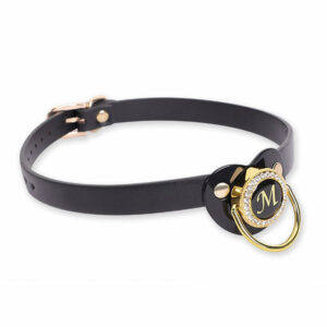 Gag z dudo in ščipalkami za bradavice