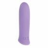Vibrator Purple Haze Evolved