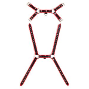 Body Harness za moške Virgite 1
