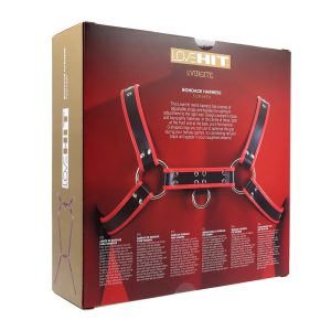 Body Harness za moške Virgite 1