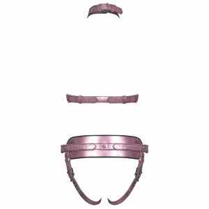 Bad Kitty Pink harness set