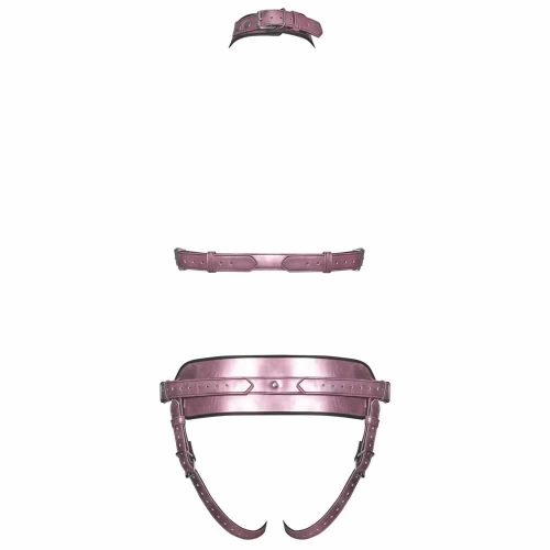 Bad Kitty Pink harness set