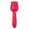 Vibrator 2 v 1 Rose sucking