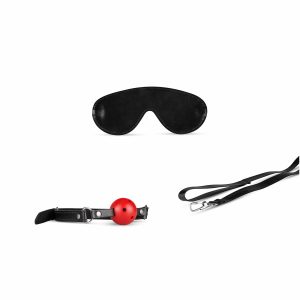 Secret Pleasure chest BDSM set