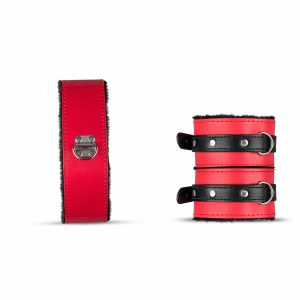 Secret Pleasure chest BDSM set